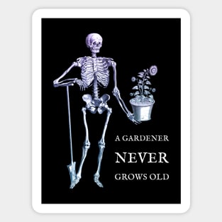 A Gardener Never Grows Old skeleton and sunflower Sticker